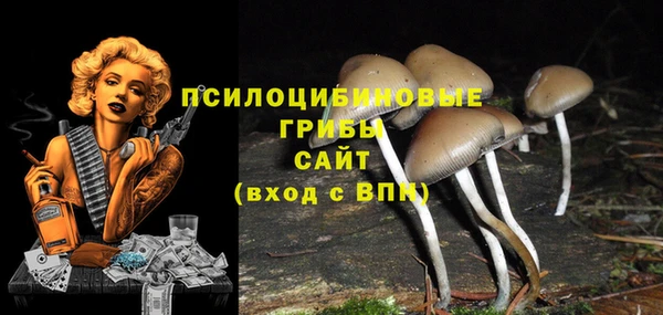COCAINE Баксан