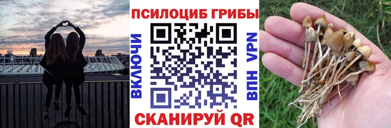 ОМГ ОМГ как войти  как найти закладки  Баксан  Галлюциногенные грибы Magic Shrooms 