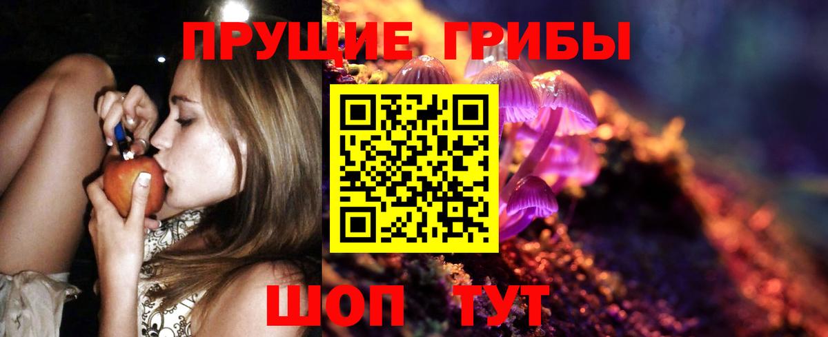Псилоцибиновые грибы Psilocybe Баксан