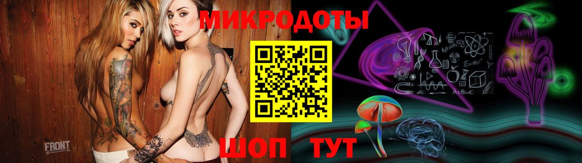 Псилоцибиновые грибы Psilocybe  Вход с VPN  Баксан 