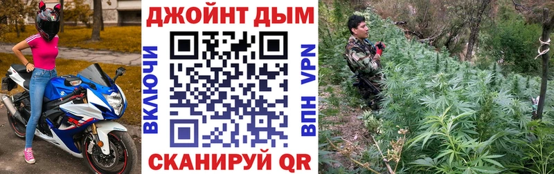 купить наркотики сайты  Баксан  Конопля индика 